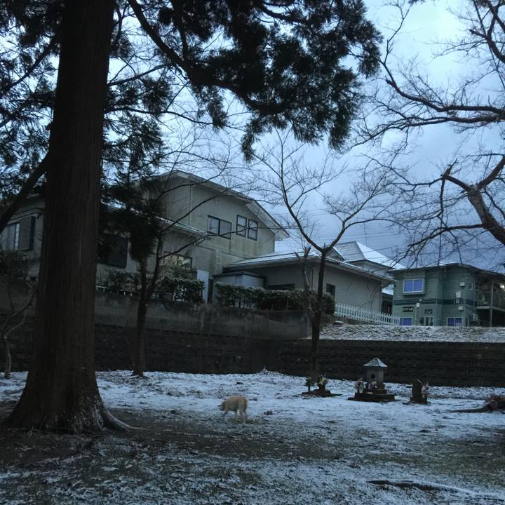 65ef9b50 c36c 419a 825e 6aa72e55742a