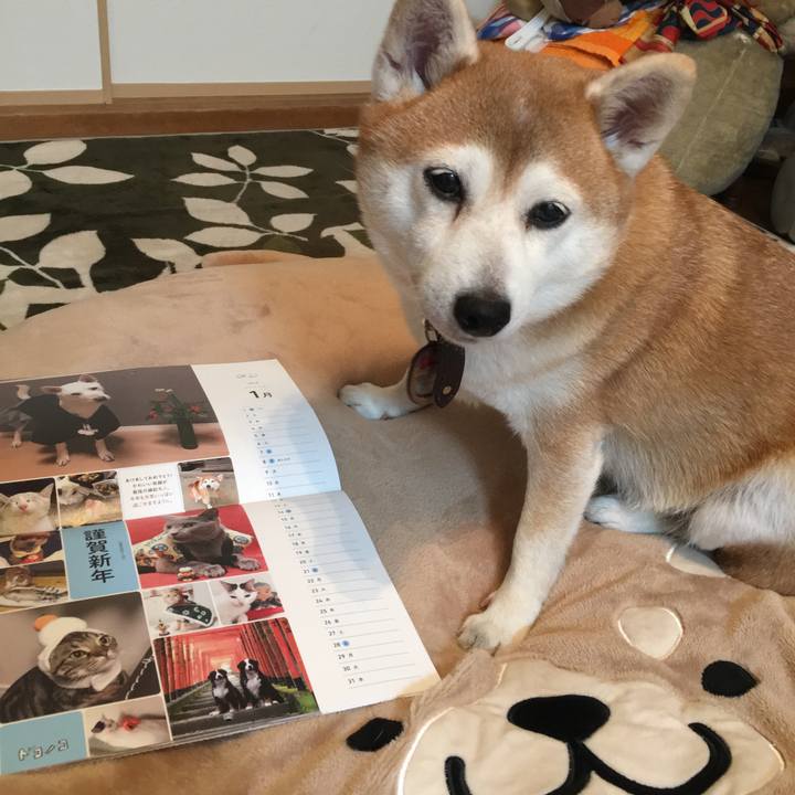 65efa9f5 a2bb 42c5 98d2 3d76a37f8e92