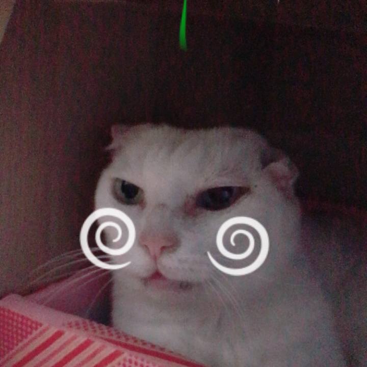 65f03b5f 38a5 4428 afe9 2263650e7cf8