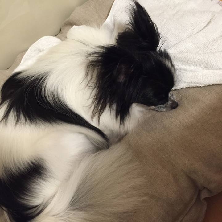 65f050a4 2a77 49e8 bbdf 8cd729b6b061