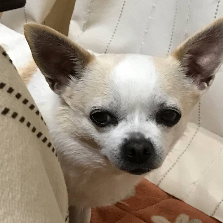 65f0b715 0ede 4c64 b96c bc1d2dc3c2ef