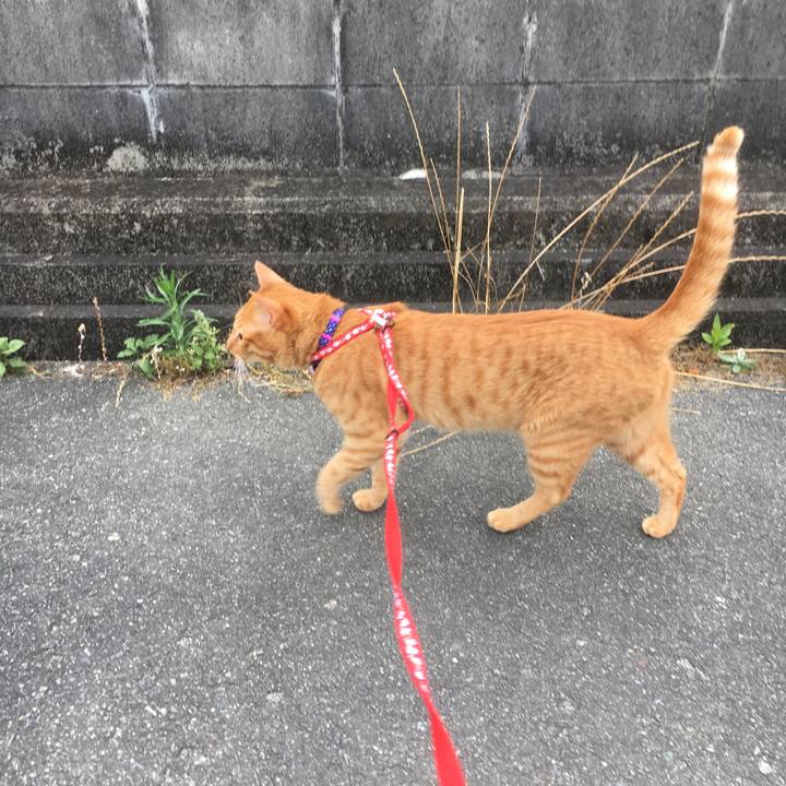 65f11512 5c64 4191 a14d b5532422e949