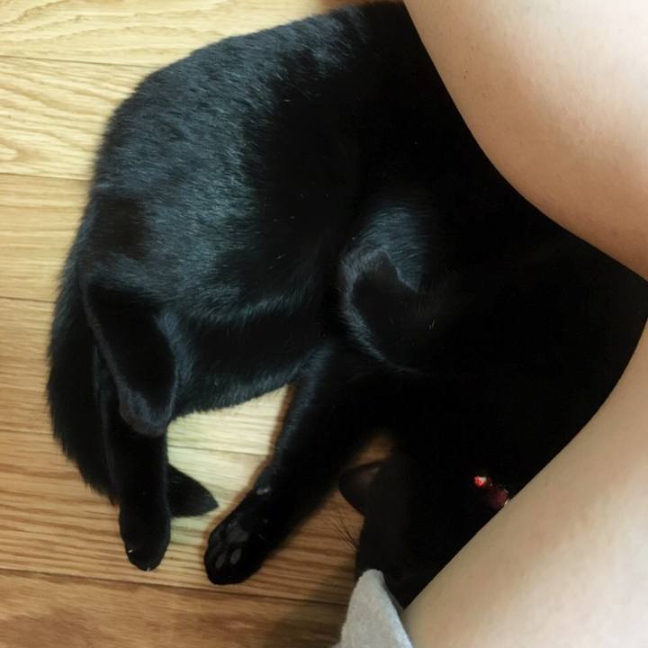 65f1600c 141c 4e4f a3b2 8bcb911d7845