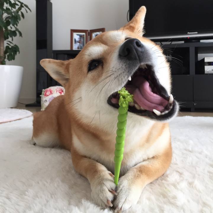 65f17452 5f7b 41ea b236 a474f0a809e7