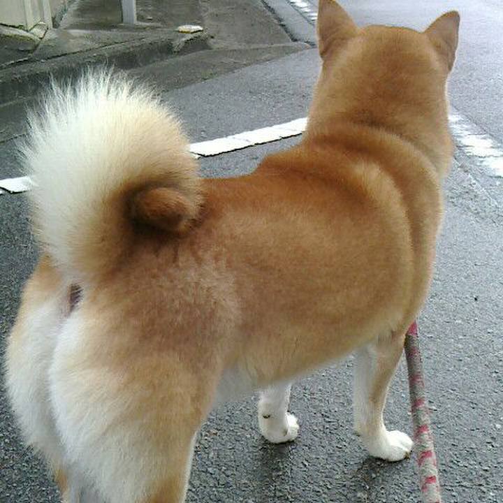 65f18bbc 9809 48fc 9088 1a870cdfa4fa