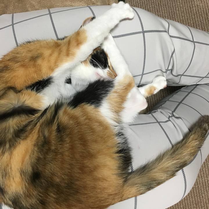 65f1dd9b c9ca 4b71 8acc 9d95a2bafa43