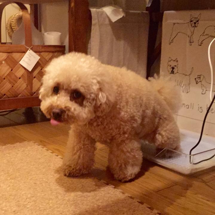 65f22cea 53b4 4adf a948 7bf110c0c770