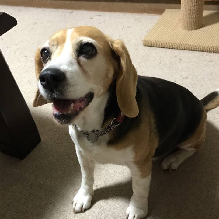 65f24d6e 3161 4bf6 8a98 b04e623400e5