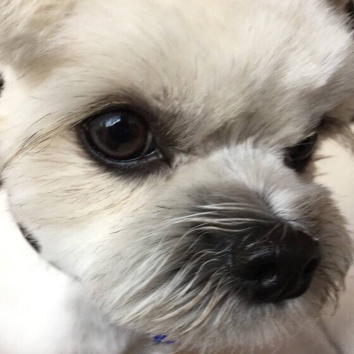 65f27a7b f455 41a4 95fd 150df60c7a43