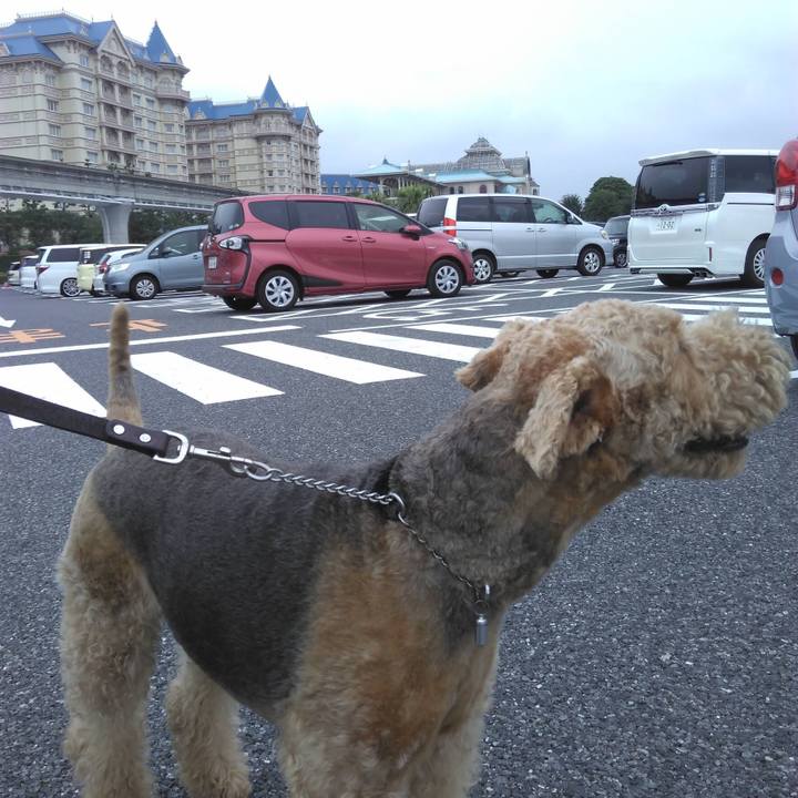 65f54006 bd82 46d8 b6ed a5b53ff164f7