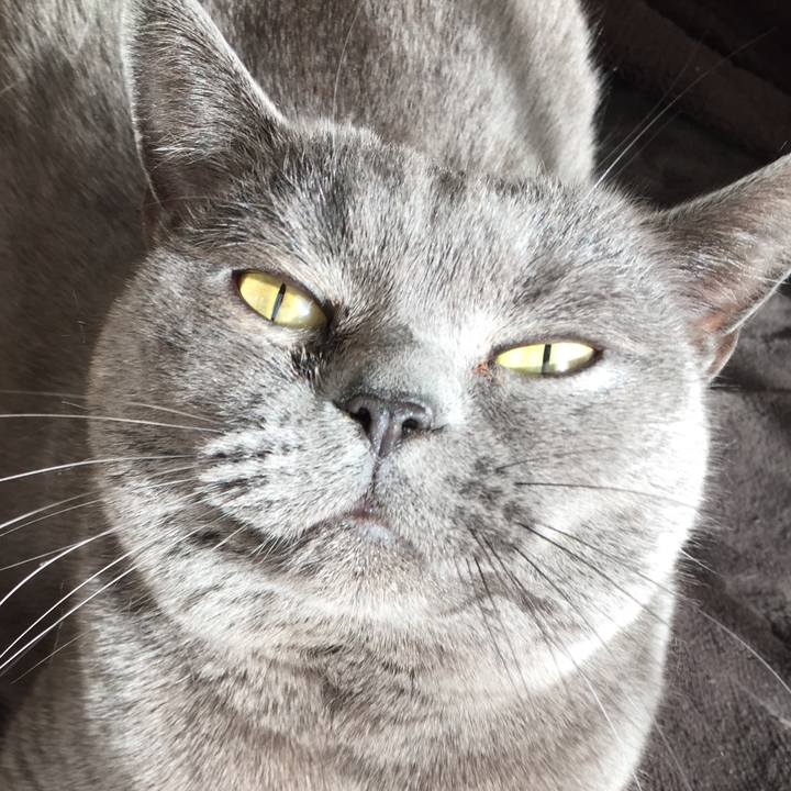 65f59b2d e42f 43ab 9e65 9a55158d814d