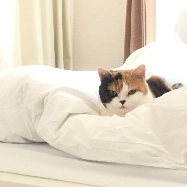 65f607d3 ac7a 46e6 91b9 5bcd923d37ae