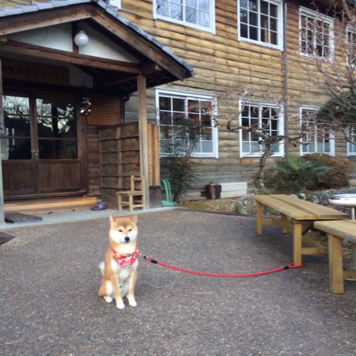 65f67061 f820 4255 8c7e 11b37f714162