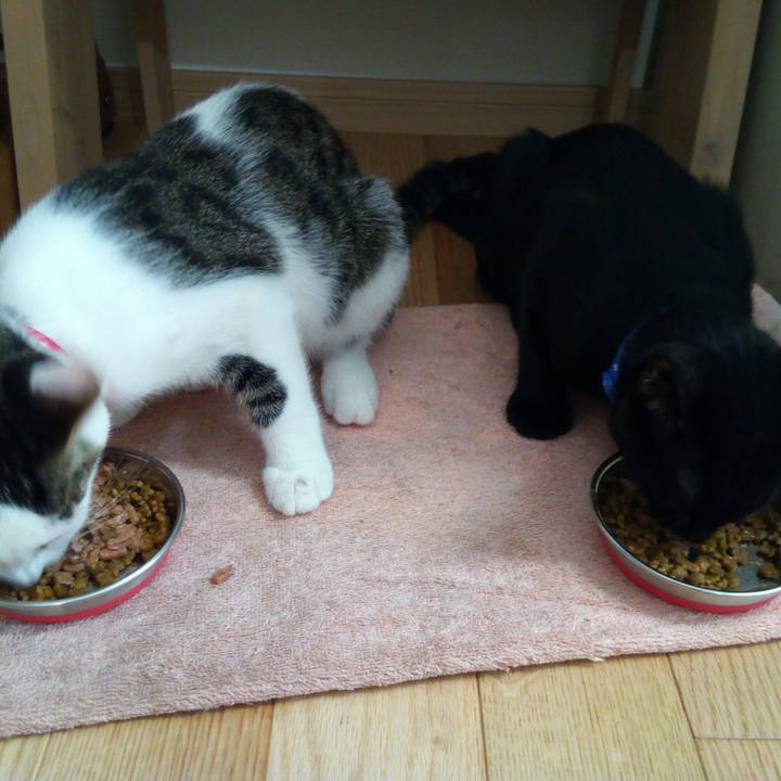 65f68f4d 148f 4a98 9989 716453972106