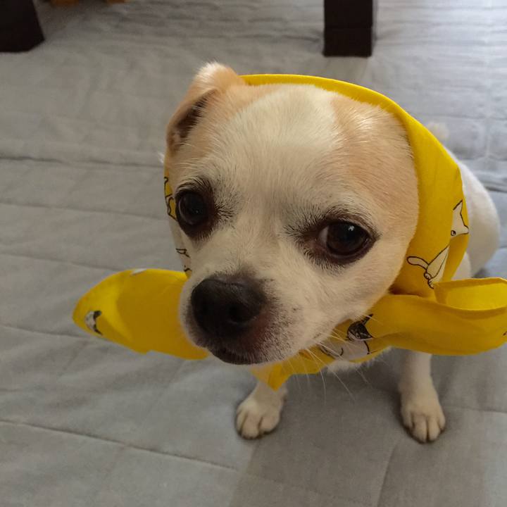 65f69f4f bdba 4d58 abe7 a78540adc30c