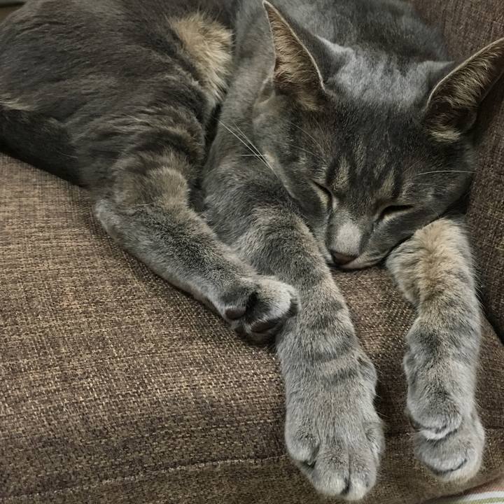 65f6bcb6 7ad1 48d9 aaf5 166768bb696c