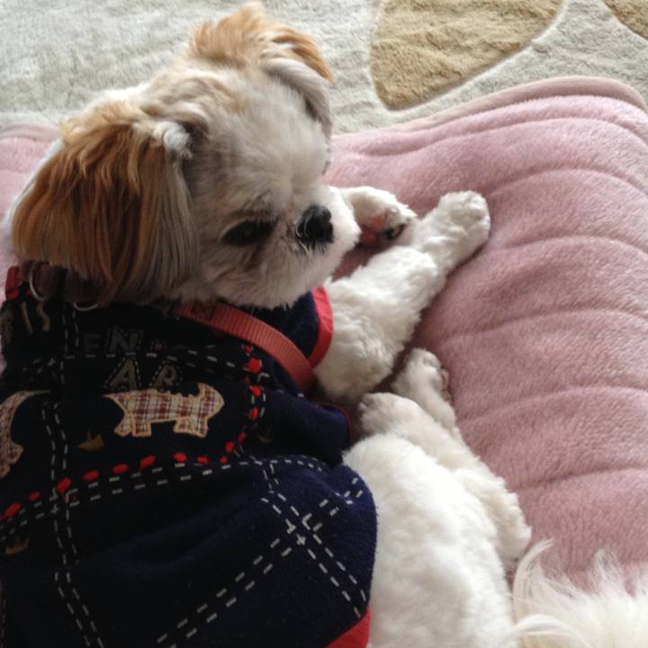 65f6bed8 66a0 4de5 bcb7 1c9ef4fd0f38