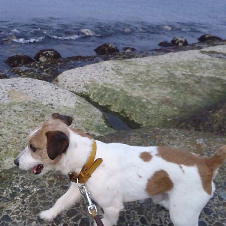 65f6dd3a 9977 4745 a10d e5fa85936024