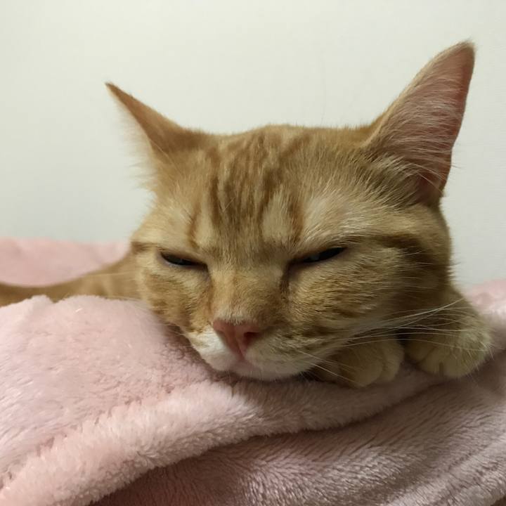 65f6e776 786e 4ab8 828c 4d7438d1eb15