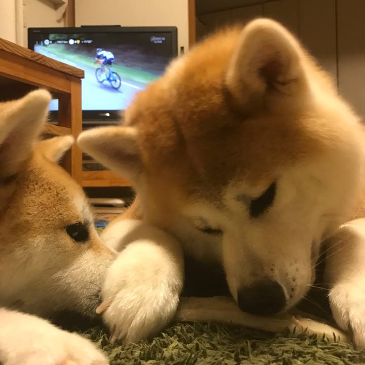 65f7293e 0ca3 4ef1 89f7 110981082bb2