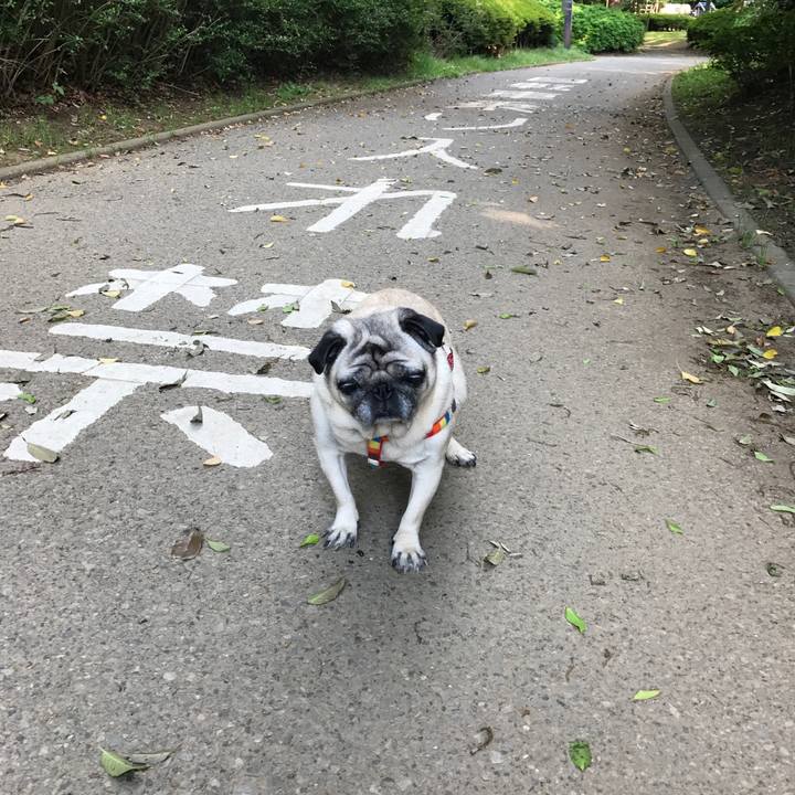 65f7920c d265 42d8 a91c 95a6f044ce43