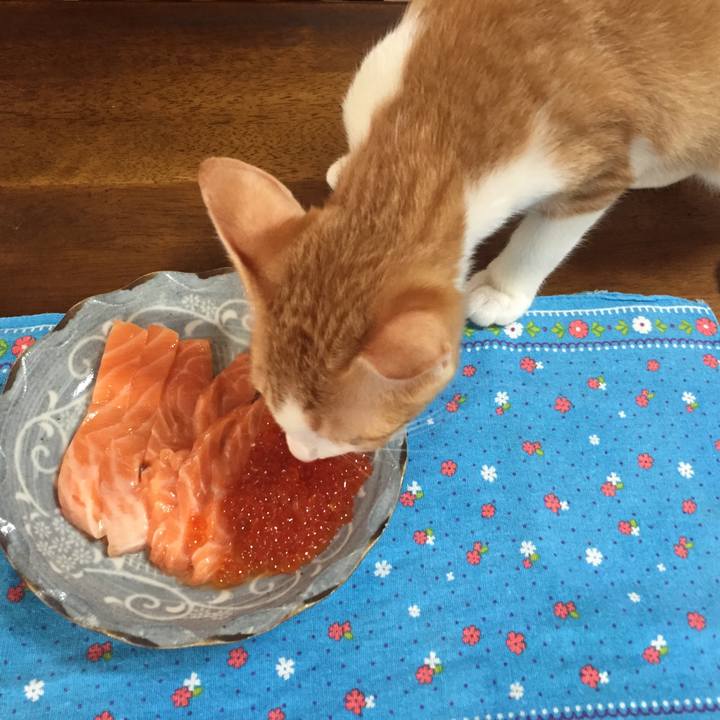 65f79bd8 6440 4dbd b4dc aed8c326722e