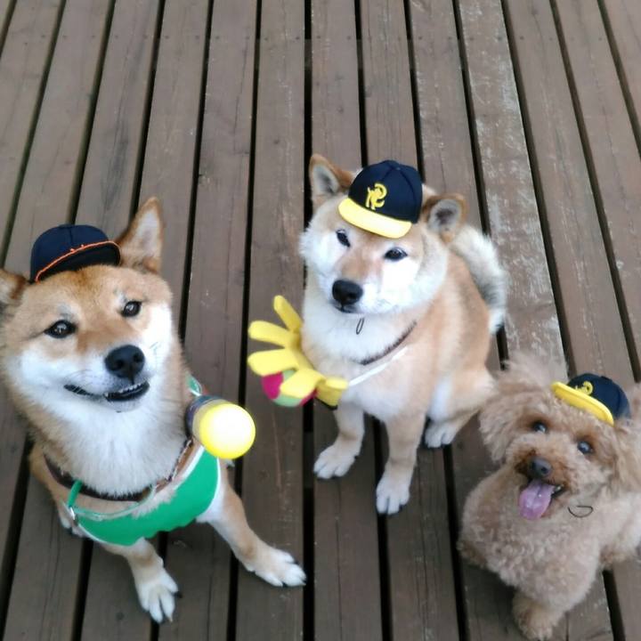 65f7d215 5bb2 467c b791 559526ecb71c