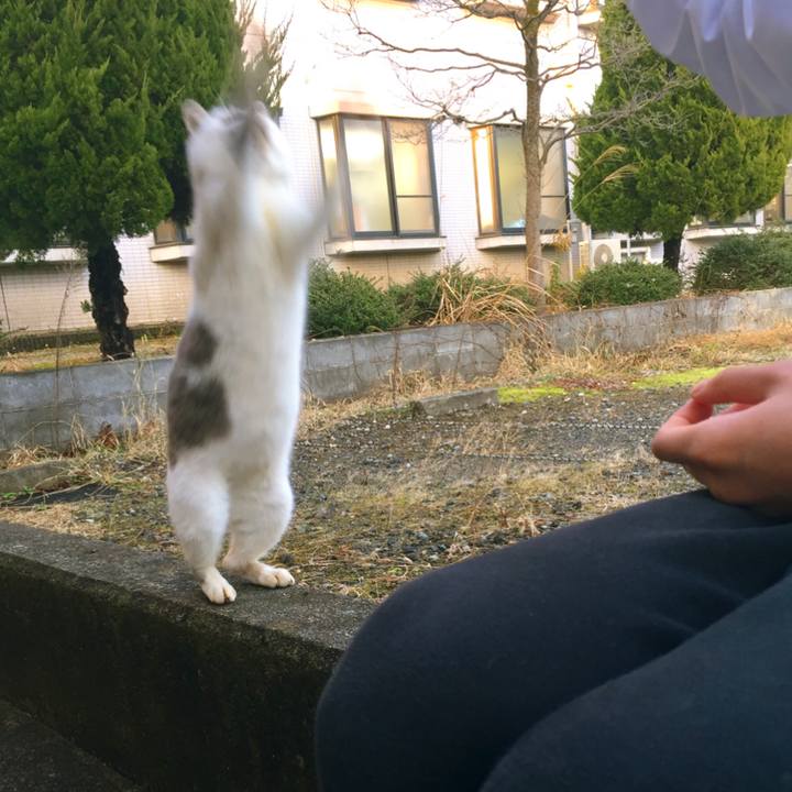 65f87fd7 cd7d 4c56 bca5 6bac039dd336