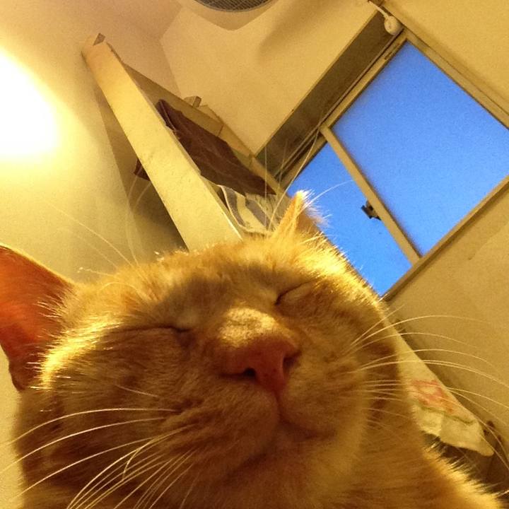 65f9351a a698 4fc0 abc5 f31c9afd394c