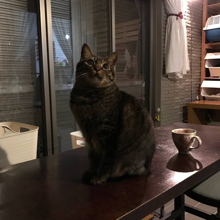 65f9a4e5 e8c2 452b bad2 3fb6c175ad10