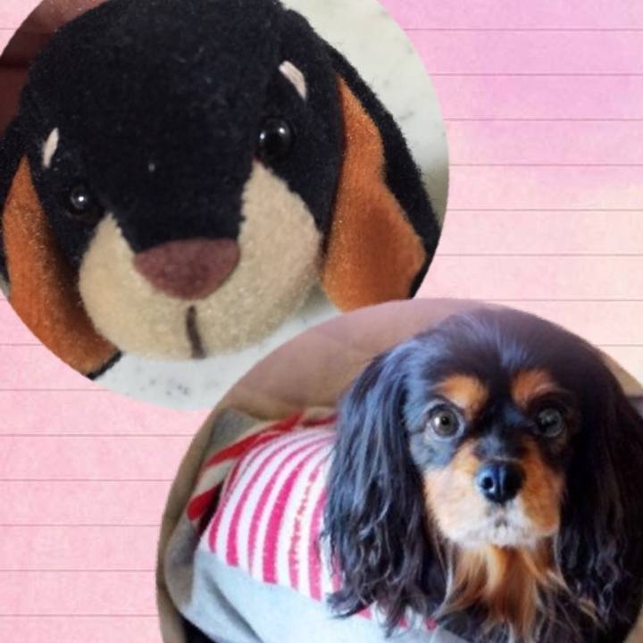 65fa2738 3f7a 4fd0 80c8 1928b1a87c39