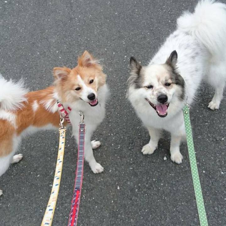 65fa7efe 2b48 4ab3 856f b6e9e4ed58ae