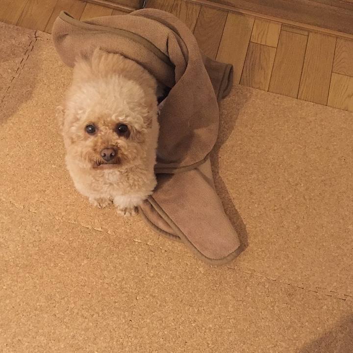 65fb0fee ae11 45f1 9a23 db978b47e81b