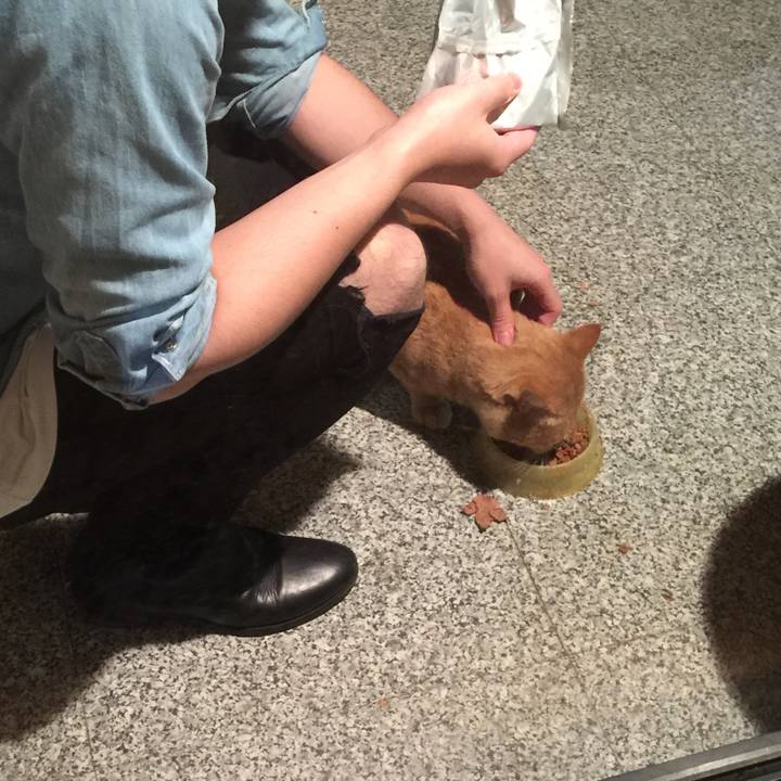 65fb2139 366c 454c 9ad2 5e8db63c1c11