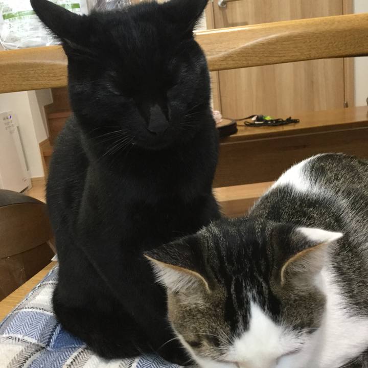 65fb5ab6 0af6 42c6 9009 0ff43828bd8c