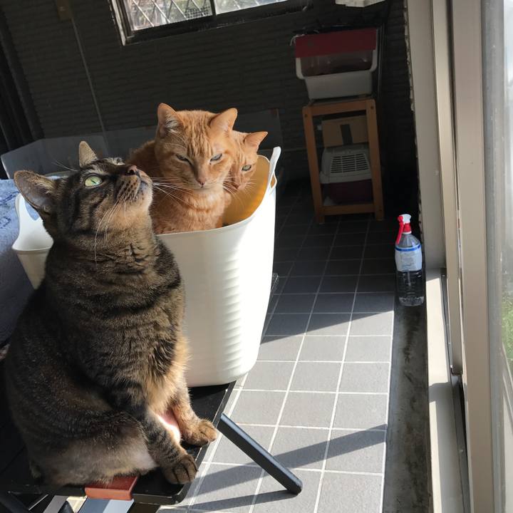 65fbff6e 3121 4a26 87ec 6aacd2979727