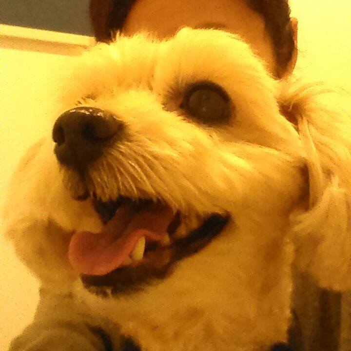 65fc4655 0a92 4654 b9c1 f825373088a7