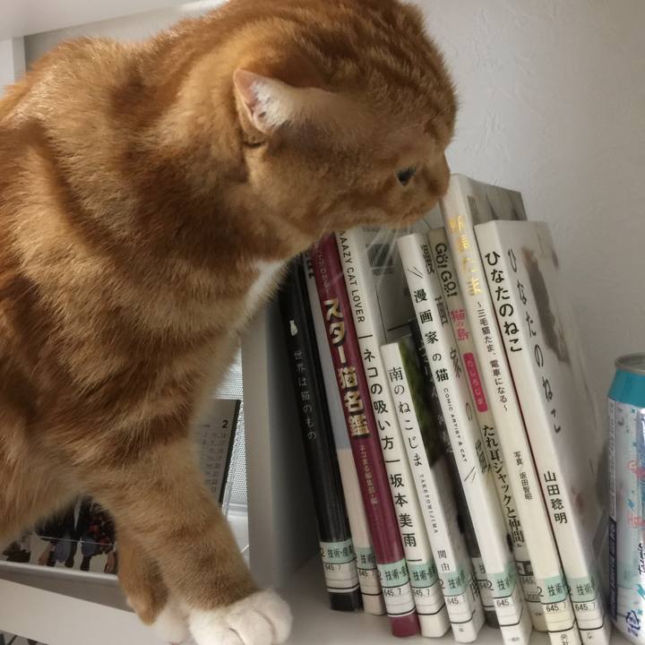 65fd4edc 8468 45ea bb53 d6a52d329185