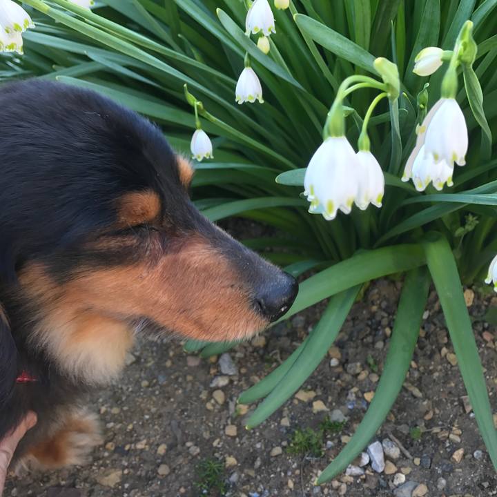 65fdb470 e6a7 4185 8128 e5166b2a44e3