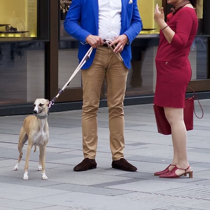 65fdff8e 3c57 45e7 abe7 e95a1cc34627