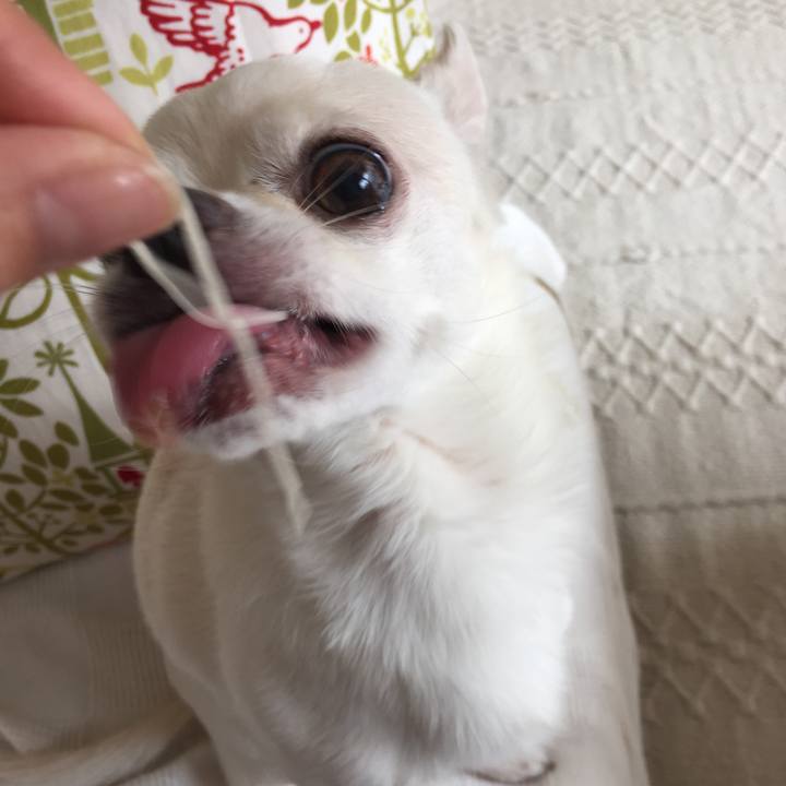 65fe4aa8 ae37 488b b29f 7432b5ad48b9