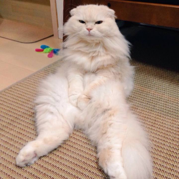 65fed6d8 bcaf 4510 88f5 e8b644757052