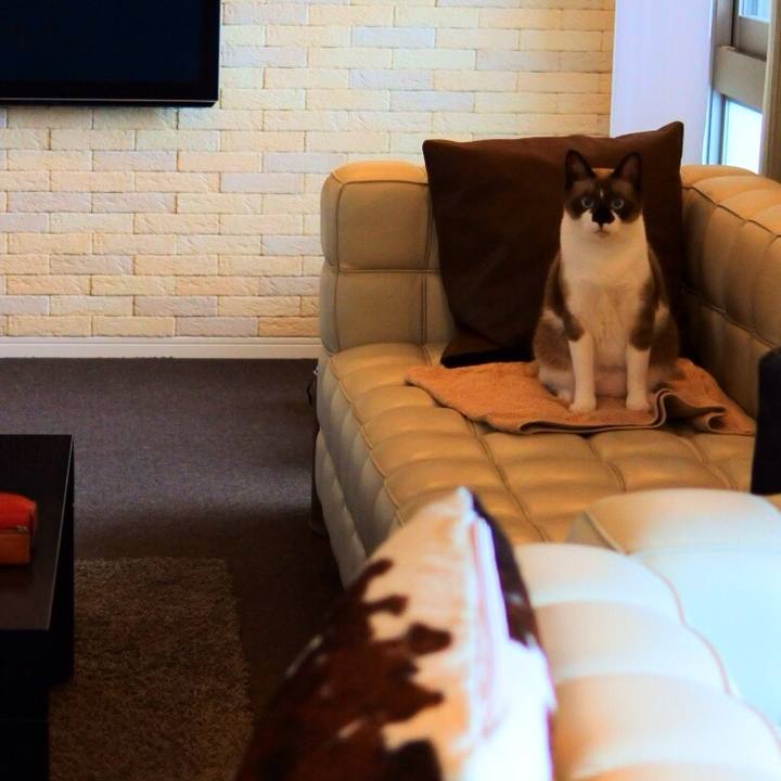 65ff4d08 af40 4dc2 bb29 1799270a9eb5