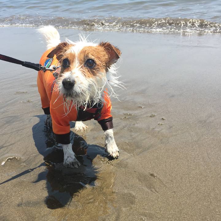 65ff6ca6 ce18 4302 aeb5 94b2de65d1bf