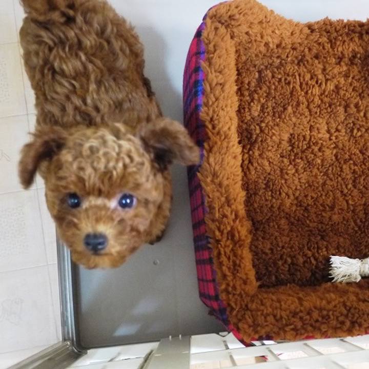 65ff7374 1b9b 4d5c 9032 2e7e3f2f7c49