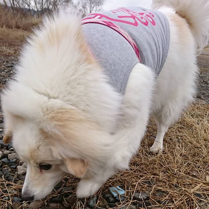 65ff957e 6197 4ece a589 45acd683b2cc