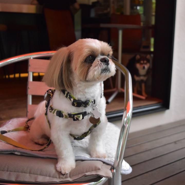 65ffc7cc a146 4f34 92a2 d18eeaca4de7