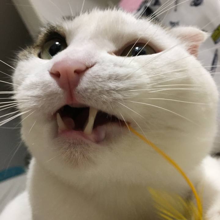 6600c3b2 2ebd 4b85 a86e cd03af862de7