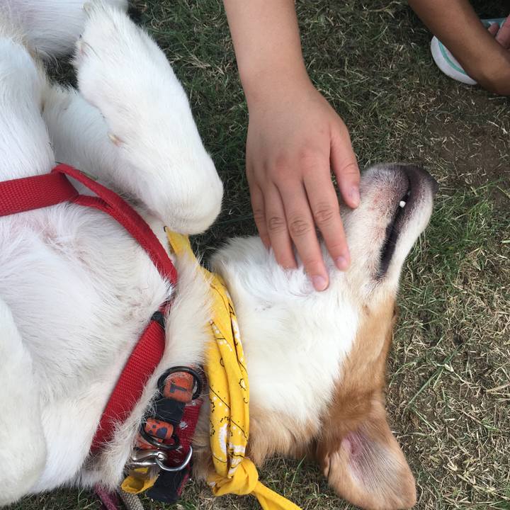 6600e812 6fb9 40c1 93a0 dad6d3de0244