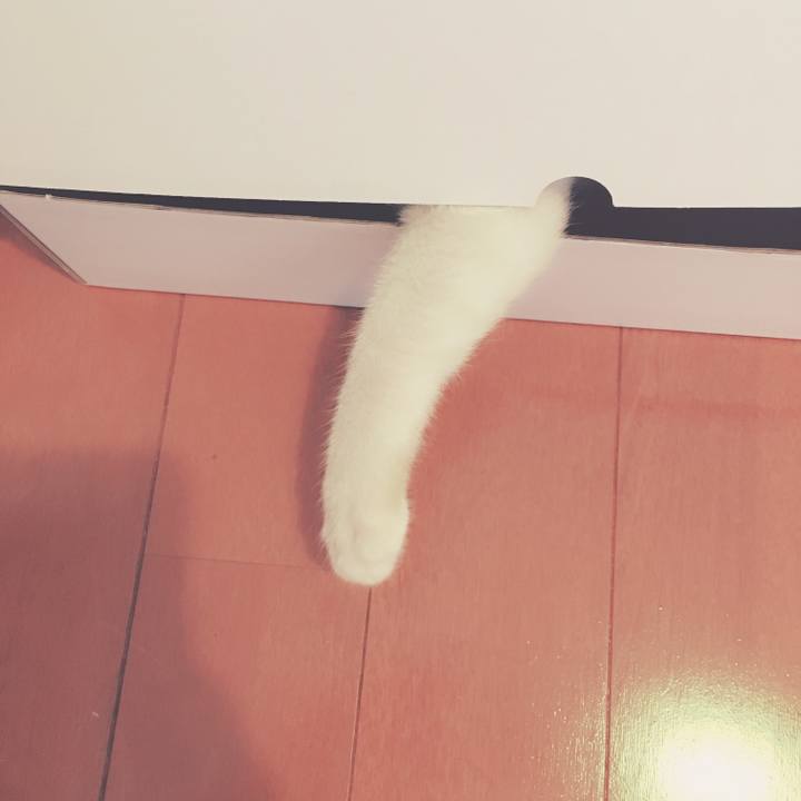 6601264d 04b6 477a 8406 3ab04c8a22d2